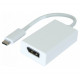 Adaptateur USB 3.1 type C vers DisplayPort