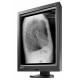 Ecran Eizo RadiForce GX240