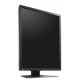 Ecran Eizo RadiForce RX250