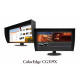 Ecran Eizo ColoRedge CG319