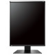 Ecran Eizo RadiForce GX560-MD