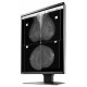 Ecran Eizo RadiForce GX560-MD