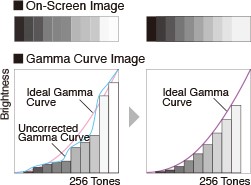 courbe de gamma écran vidéosurveillance eizo duravision fdf2305