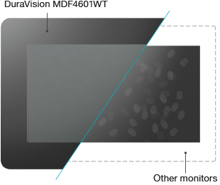 pas de trac de doigts écran maritime tactile eizo duravision mdf4601