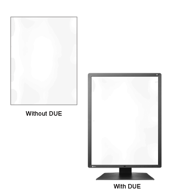 Fonction d'uniformisation de la dalle écran médical EIZO Radiforce RX250